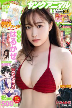 公司领导的老婆
